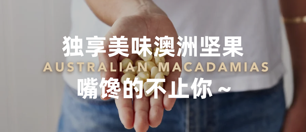独享美味澳洲坚果，嘴馋的不止你～